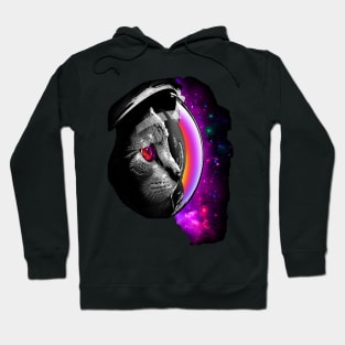 galaxy cat Hoodie